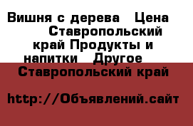 Вишня с дерева › Цена ­ 50 - Ставропольский край Продукты и напитки » Другое   . Ставропольский край